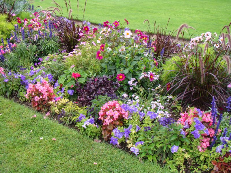 Lush Planting Beds